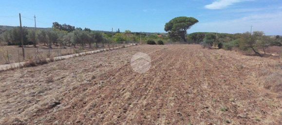 5000m² Land in Sorso, Italy No. 325044 3