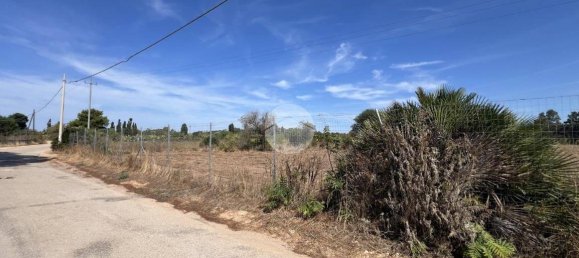 5000m² Land in Sorso, Italy No. 325044 10
