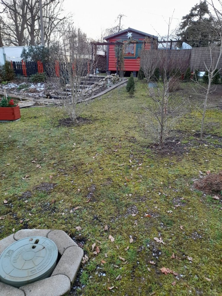 Terrain à Zwickau, Germany No. 163150