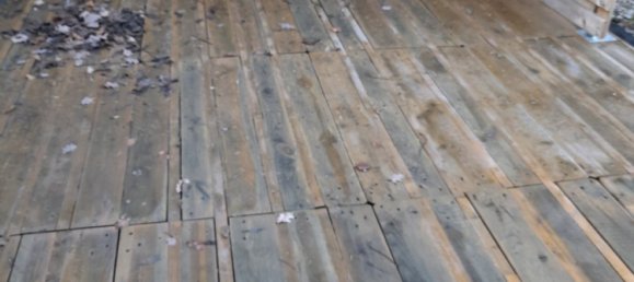 Terrain à Zwickau, Germany No. 163150 6