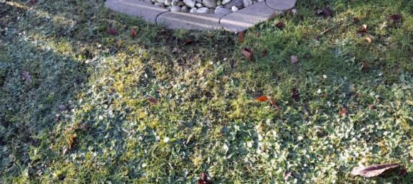 Terrain à Zwickau, Germany No. 163150 5