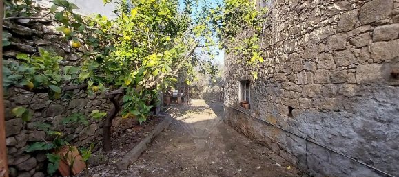 3 chambres Maison à Castelo Branco, Portugal No. 41159 15