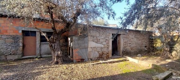 3 chambres Maison à Castelo Branco, Portugal No. 41159 13