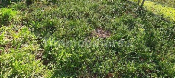 Casa de 3 dormitorios en Busto Garolfo, Italy No. 133229 15