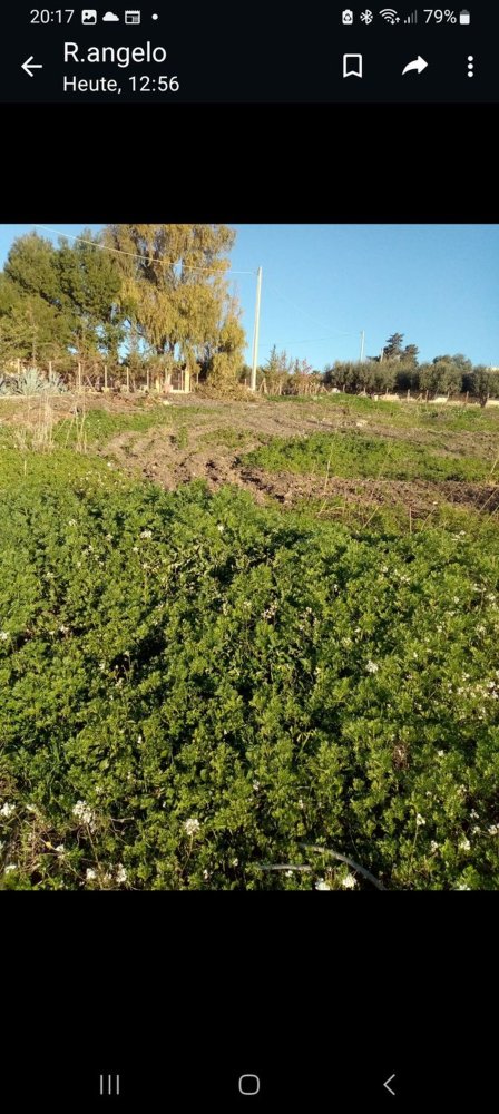 Grundstück in Butera, Italy 2600m², Nr. 256046