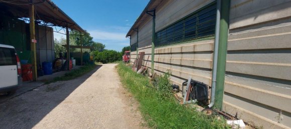 Grundstück in Civita Castellana, Italy 1104780m², Nr. 297449 2