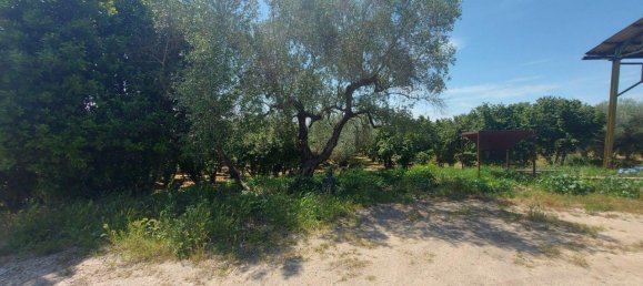 Grundstück in Civita Castellana, Italy 1104780m², Nr. 297449 18