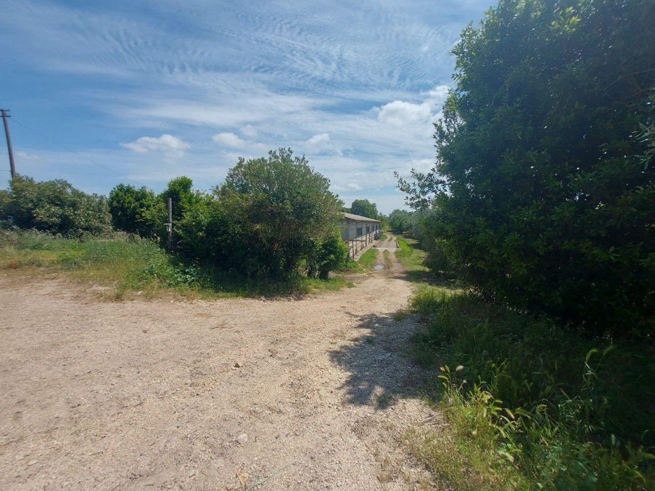 Grundstück in Civita Castellana, Italy 1104780m², Nr. 297449