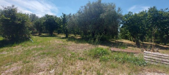 Grundstück in Civita Castellana, Italy 1104780m², Nr. 297449 11