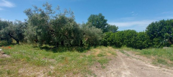 Grundstück in Civita Castellana, Italy 1104780m², Nr. 297449 3