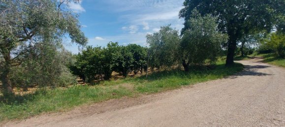 Grundstück in Civita Castellana, Italy 1104780m², Nr. 297449 10