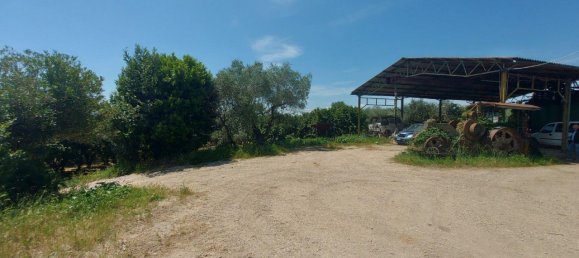 Grundstück in Civita Castellana, Italy 1104780m², Nr. 297449 16