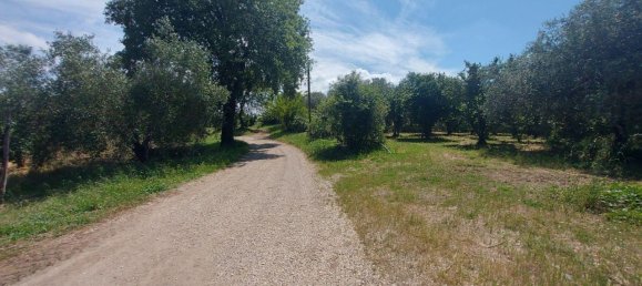 Grundstück in Civita Castellana, Italy 1104780m², Nr. 297449 9