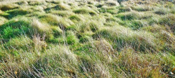 669m² Land in Weinitzen, Austria No. 257962 3