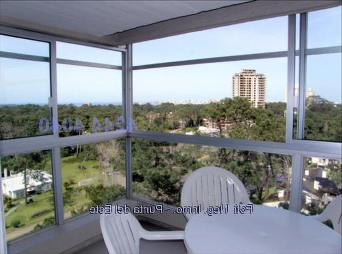 2 bedrooms Apartment in Punta del Este, Uruguay No. 4693