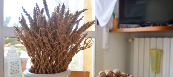 4-Zimmer Wohnung in Rimini, Italy, Nr. 184158 8