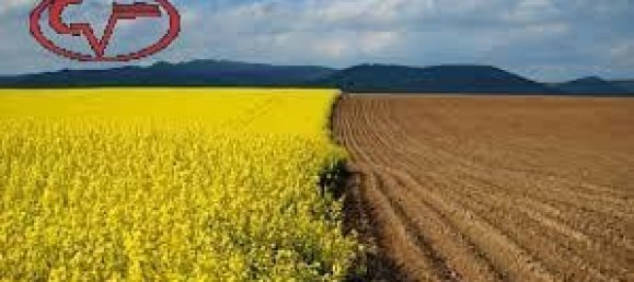 Terrain à Terranuova Bracciolini, Italy 6400m² No. 236896 3