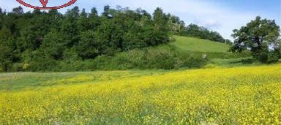 Terrain à Terranuova Bracciolini, Italy 6400m² No. 236896 2