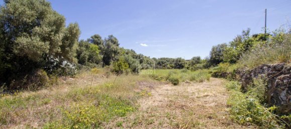 4 غرف نوم منزل في Ciutadella De Menorca, Spain رقم 4093 2