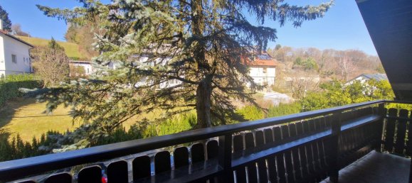 5 rooms House in St. Andra-Wordern, Austria No. 173608 5