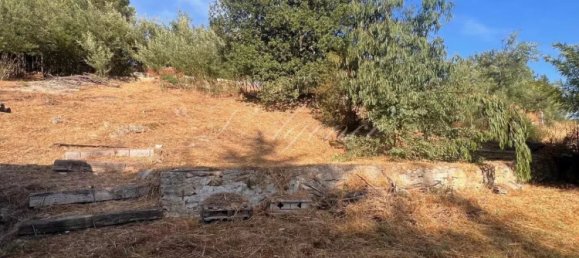 Земельный участок в Приморские Альпы, Франция № 294295 4