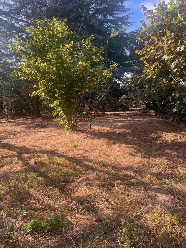 Земельный участок в Приморские Альпы, Франция № 294295