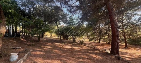 Земельный участок в Приморские Альпы, Франция № 294295 3