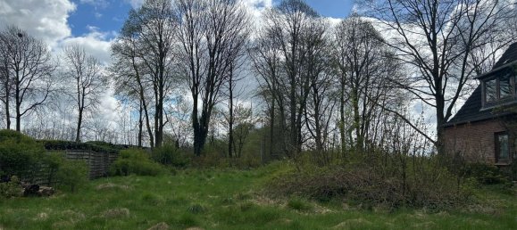 1559m² Land in Schleswig-Flensburg, Germany No. 34656 3