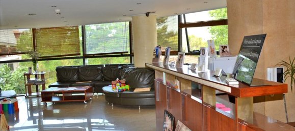 Affaires à Elliniko, Greece 2000m² No. 95230 9