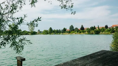 5-Zimmer Haus in Wimpassing an der Leitha, Austria, Nr. 25034