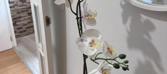 3 chambres Appartement à Castellon de la Plana, Spain No. 142377 4