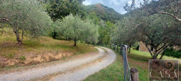 4 bedrooms House in Coreglia Antelminelli, Italy No. 702 3