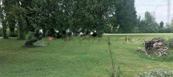 8 rooms House in Carbonera, Italy No. 58215 4