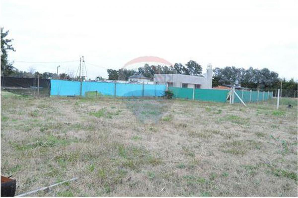  Land in Berazategui, Argentina No. 43228