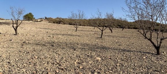 32422m² Land in Mazarron, Spain No. 156195 6