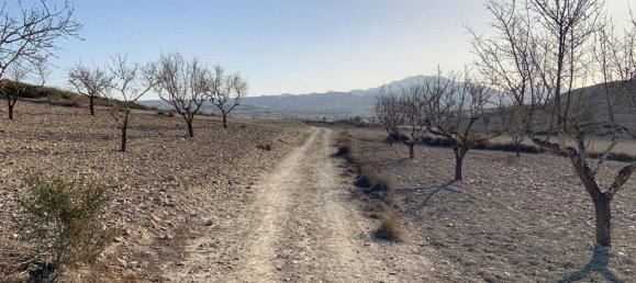 32422m² Land in Mazarron, Spain No. 156195 7