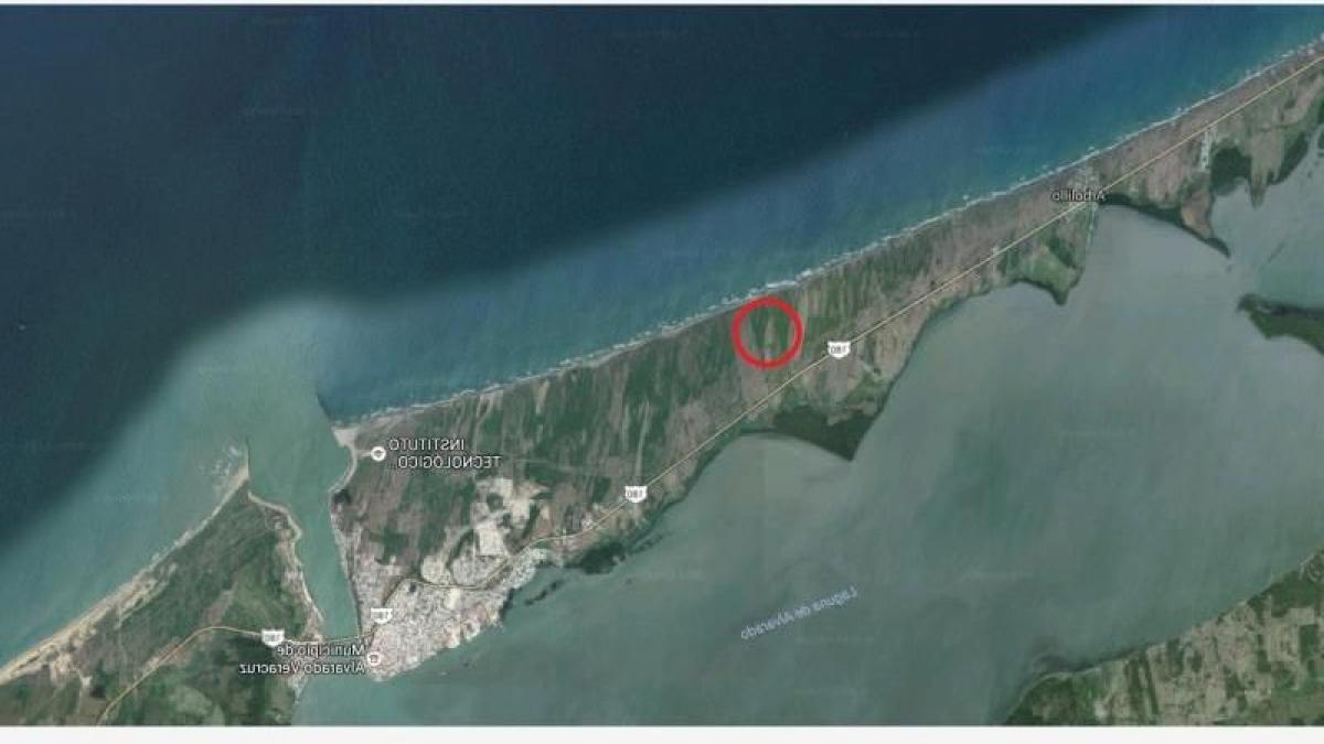 Studio in Veracruz, Mexico No. 207338