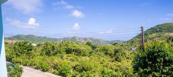 Вилла с 3 спальнями в Saint Peter's, Сент-Китс и Невис № 11 21