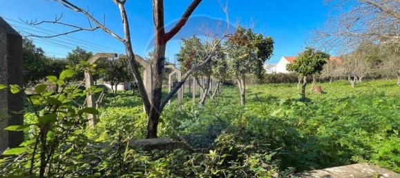 8 bedrooms House in Bucelas, Portugal No. 47503 4