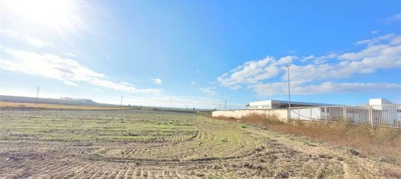 Studio à Cerignola, Italy No. 83412 15