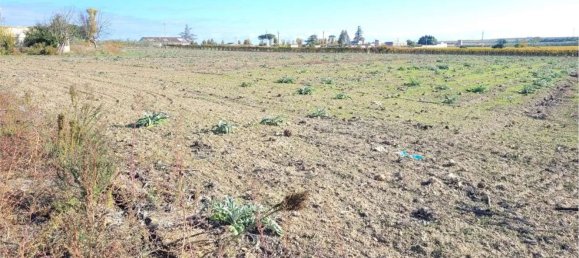 Studio à Cerignola, Italy No. 83412 5