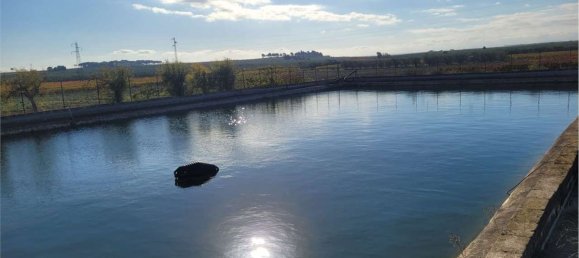 Studio à Cerignola, Italy No. 83412 10