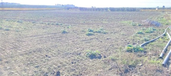 Studio à Cerignola, Italy No. 83412 3