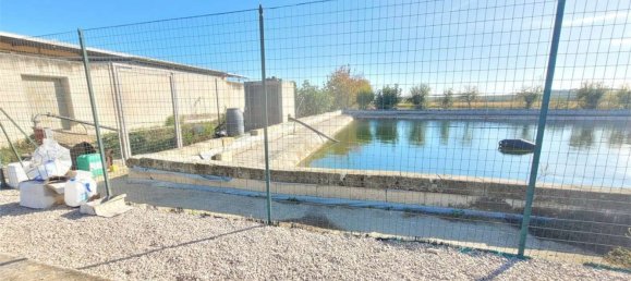 Studio à Cerignola, Italy No. 83412 14