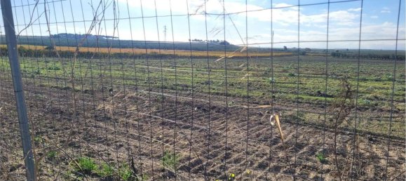 Studio à Cerignola, Italy No. 83412 17