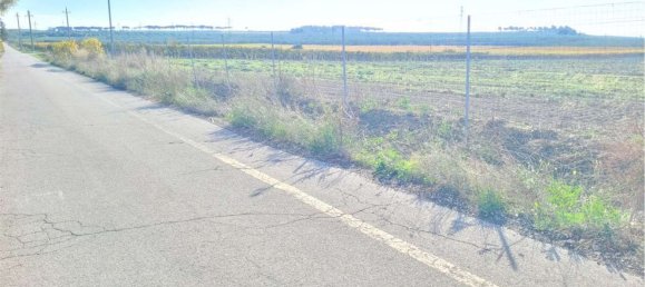 Studio à Cerignola, Italy No. 83412 16