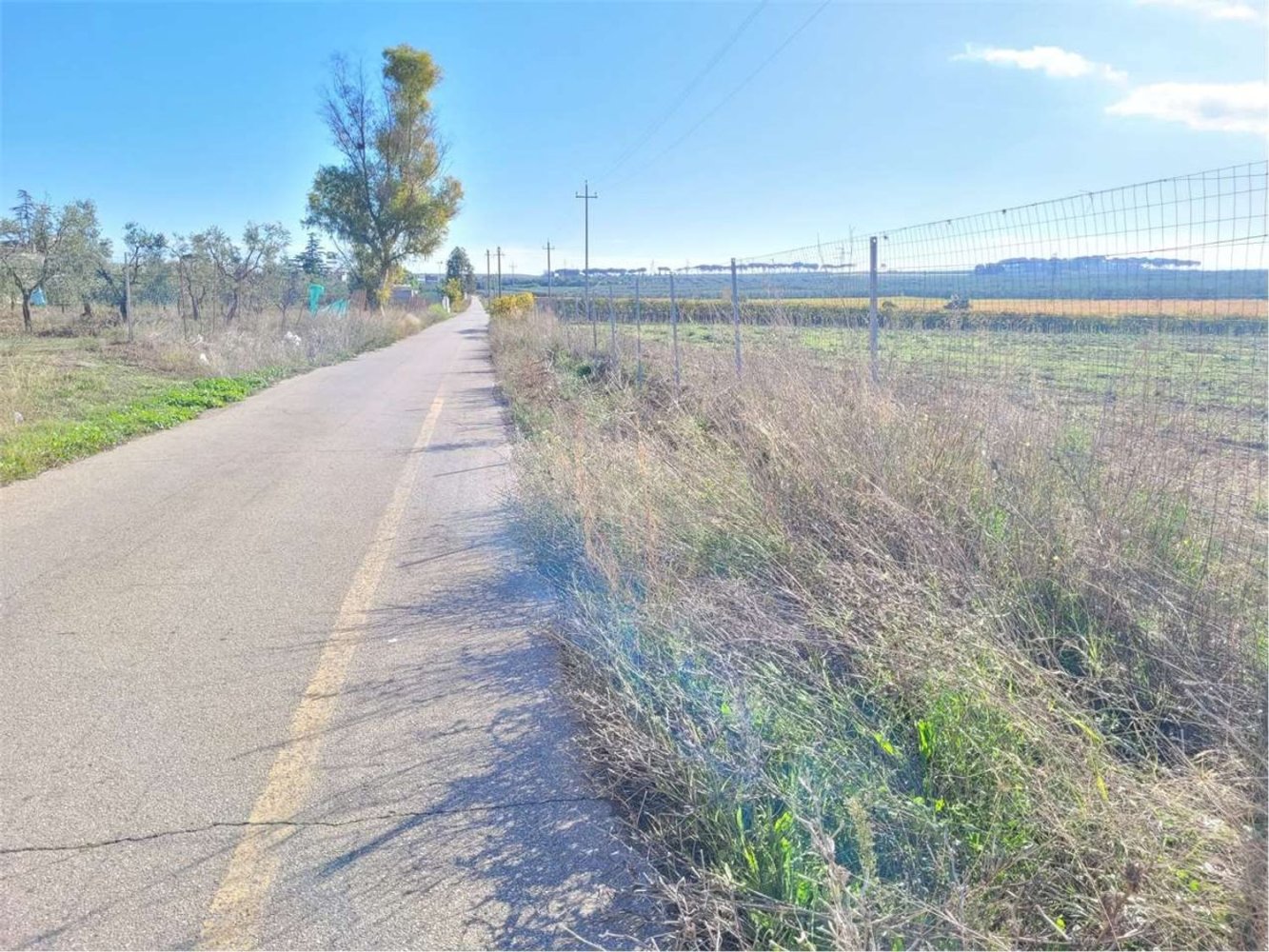 Studio à Cerignola, Italy No. 83412