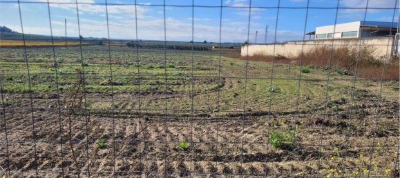 Studio à Cerignola, Italy No. 83412 2