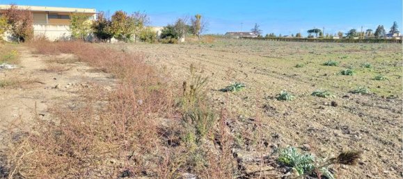 Studio à Cerignola, Italy No. 83412 6