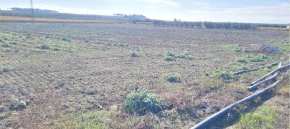 Studio à Cerignola, Italy No. 83412 8